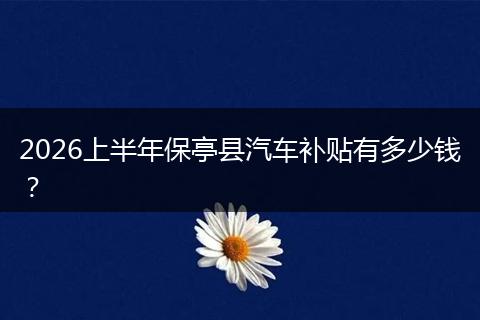 2026上半年保亭县汽车补贴有多少钱？