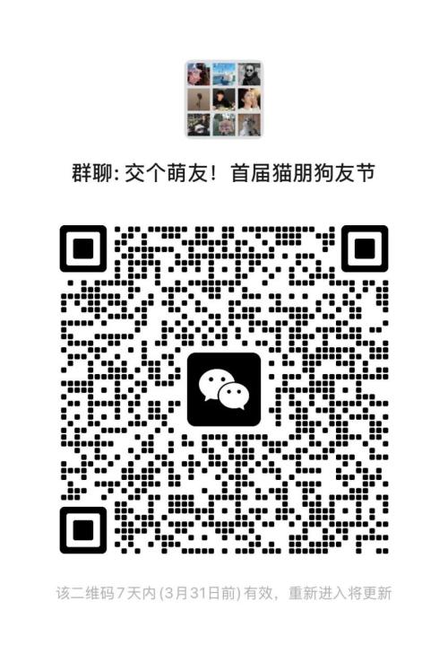 2026台州天台赭溪老街宠物嘉年华活动攻略（时间+地点+参与方式）