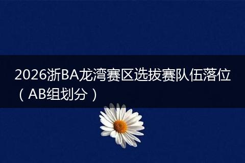 2026浙BA龙湾赛区选拔赛队伍落位（AB组划分）