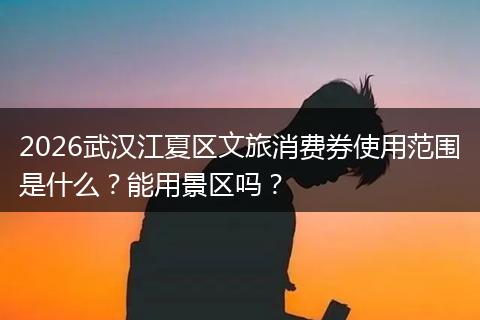 2026武汉江夏区文旅消费券使用范围是什么？能用景区吗？