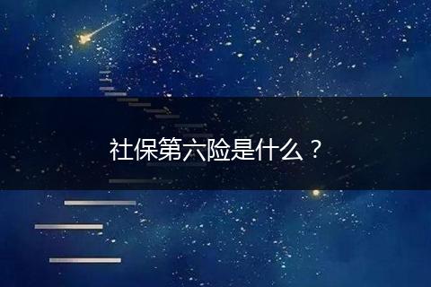 社保第六险是什么？