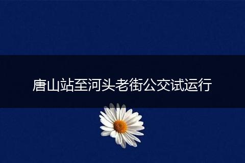 唐山站至河头老街公交试运行