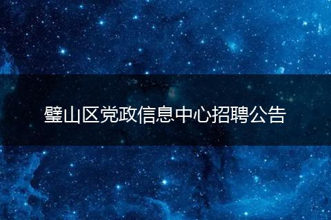 璧山区党政信息中心招聘公告