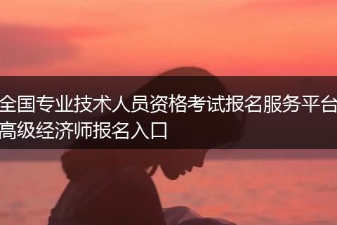全国专业技术人员资格考试报名服务平台高级经济师报名入口