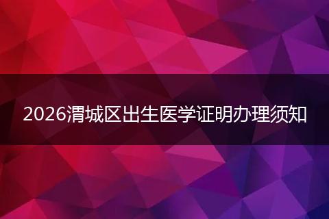 2026渭城区出生医学证明办理须知
