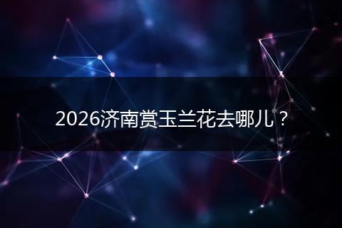2026济南赏玉兰花去哪儿？
