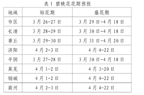 2026济南碧桃花赏花时间+赏花地推荐