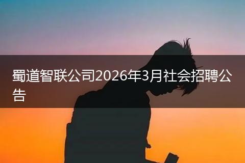 蜀道智联公司2026年3月社会招聘公告