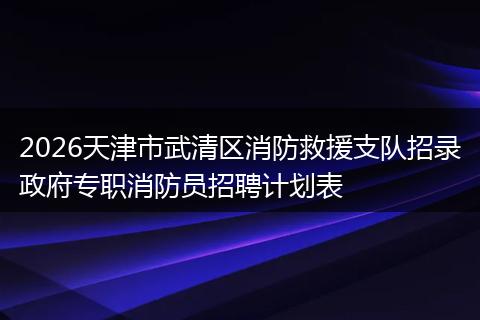 2026天津市武清区消防救援支队招录政府专职消防员招聘计划表