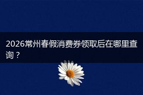 2026常州春假消费券领取后在哪里查询？
