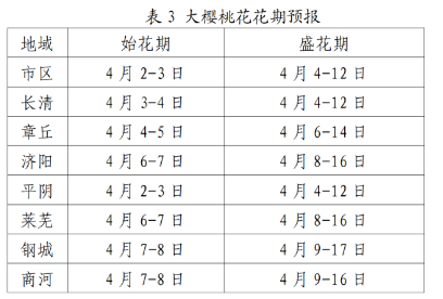 2026济南大樱桃花赏花时间+赏花地推荐