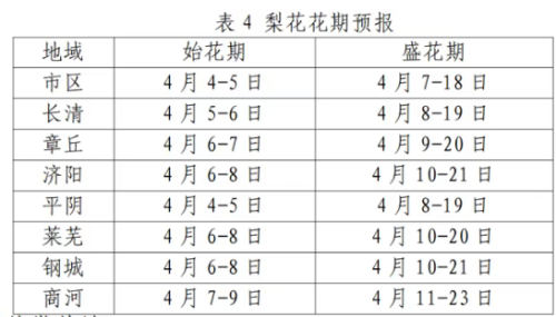 2026济南梨花赏花时间+赏花地推荐