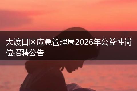 大渡口区应急管理局2026年公益性岗位招聘公告