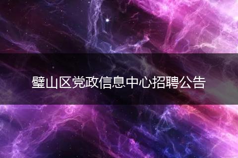 璧山区党政信息中心招聘公告