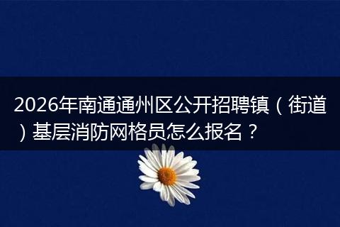 2026年南通通州区公开招聘镇（街道）基层消防网格员怎么报名？
