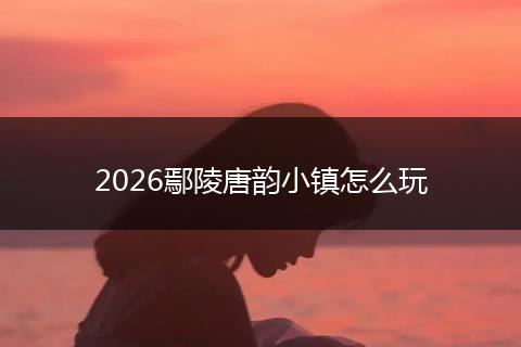 2026鄢陵唐韵小镇怎么玩