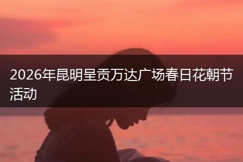 2026年昆明呈贡万达广场春日花朝节活动