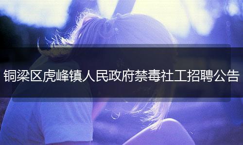 铜梁区虎峰镇人民政府禁毒社工招聘公告