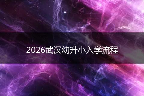 2026武汉幼升小入学流程