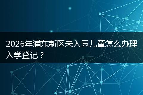 2026年浦东新区未入园儿童怎么办理入学登记？