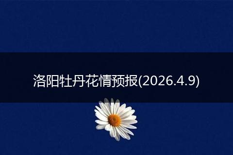 洛阳牡丹花情预报(2026.4.9)