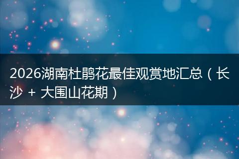 2026湖南杜鹃花最佳观赏地汇总（长沙 + 大围山花期）