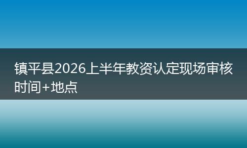 镇平县2026上半年教资认定现场审核时间+地点