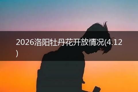 2026洛阳牡丹花开放情况(4.12)