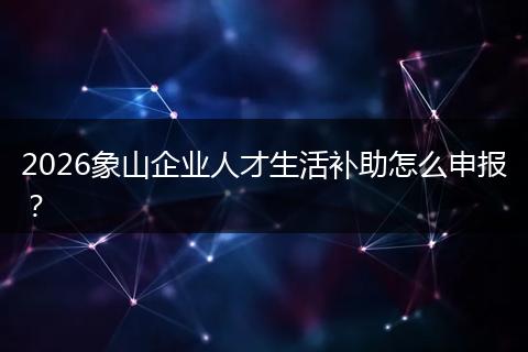 2026象山企业人才生活补助怎么申报？
