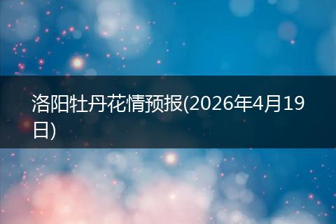 洛阳牡丹花情预报(2026年4月19日)
