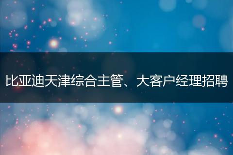比亚迪天津综合主管、大客户经理招聘