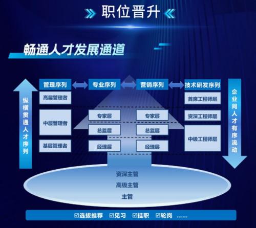 中电信息2026春招晋升发展通道