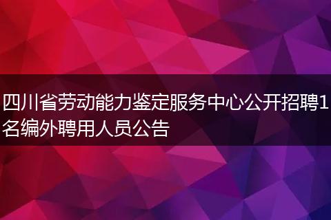 四川省劳动能力鉴定服务中心公开招聘1名编外聘用人员公告