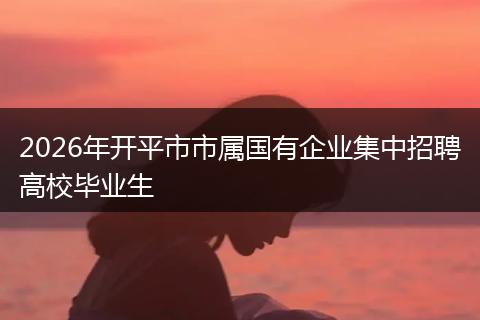 2026年开平市市属国有企业集中招聘高校毕业生