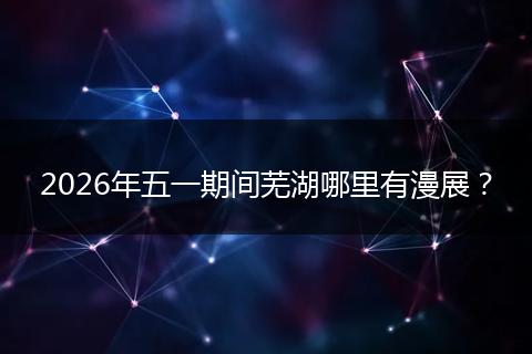 2026年五一期间芜湖哪里有漫展？